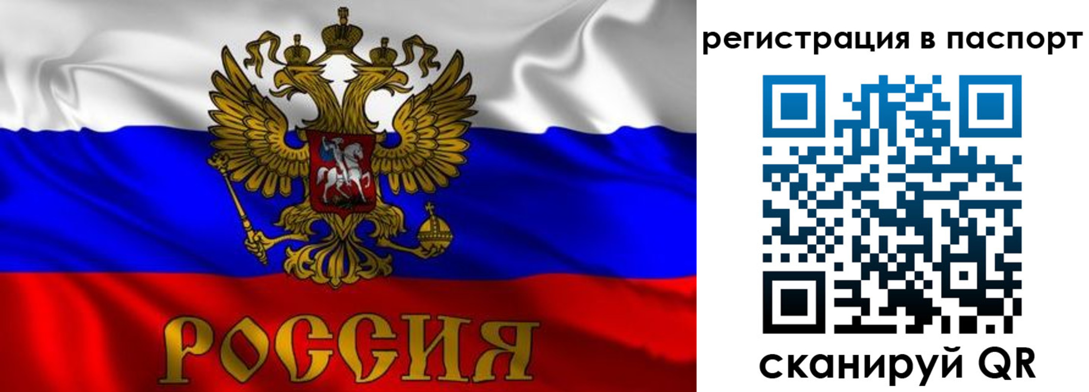найти адрес прописки в Курчатове